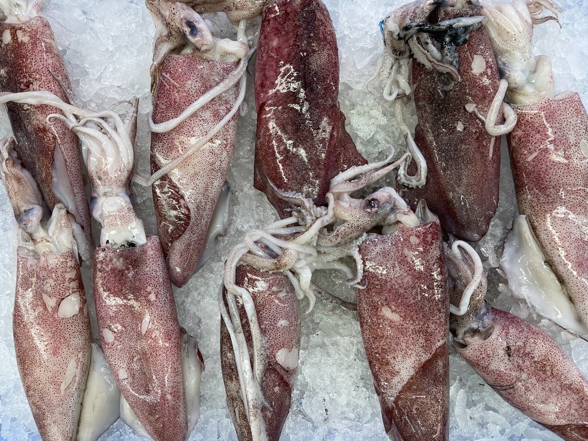 Existeil une différence entre le calamar et ? Cuisinez Facile